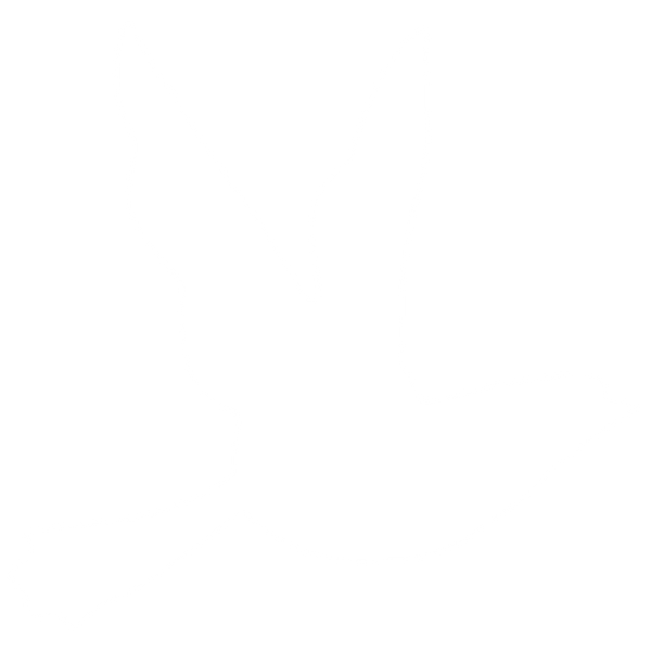 Little Dove Artwork